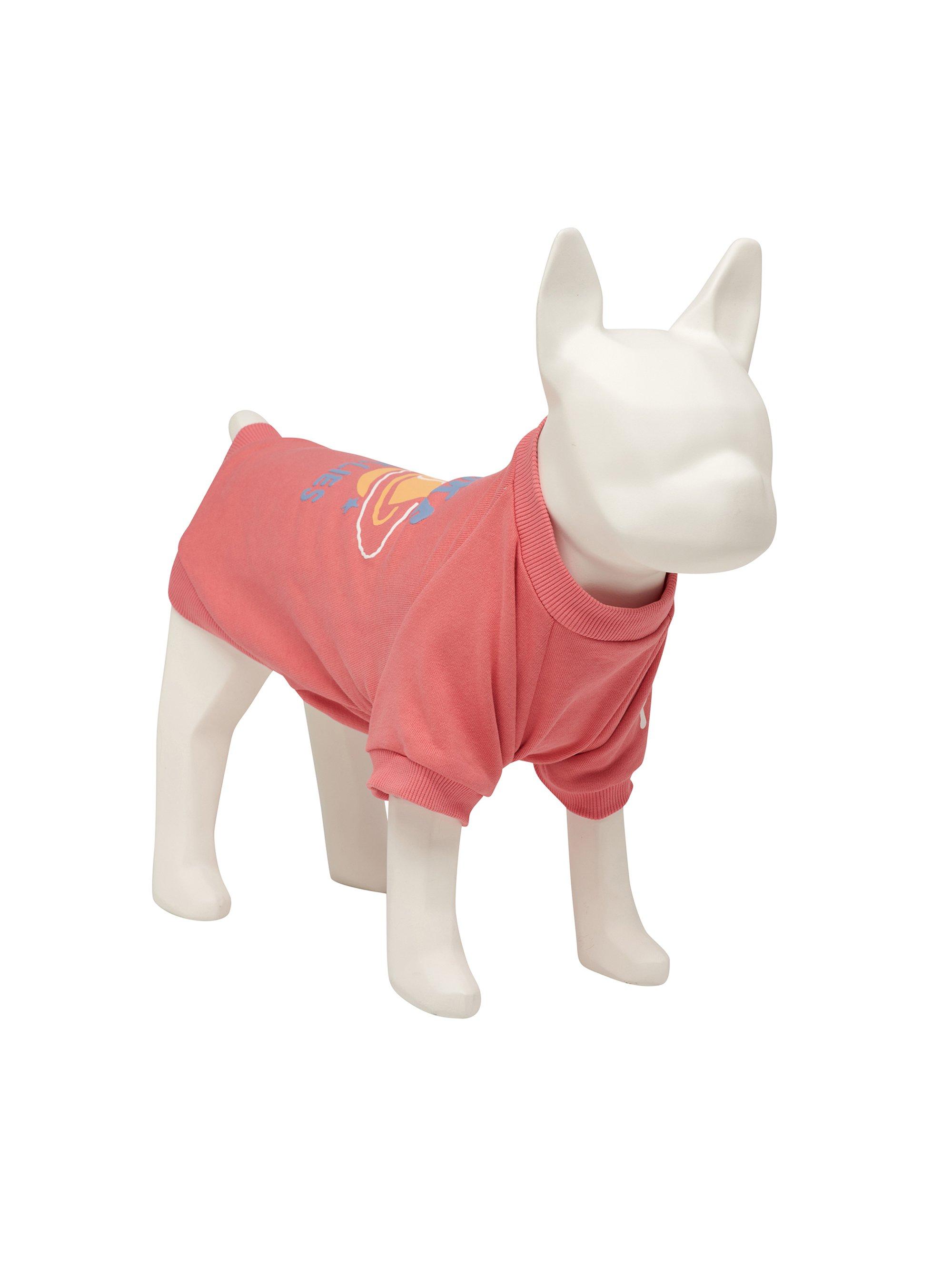 [PET] MLB LIKE PLANET 맨투맨 필라델피아 필리스